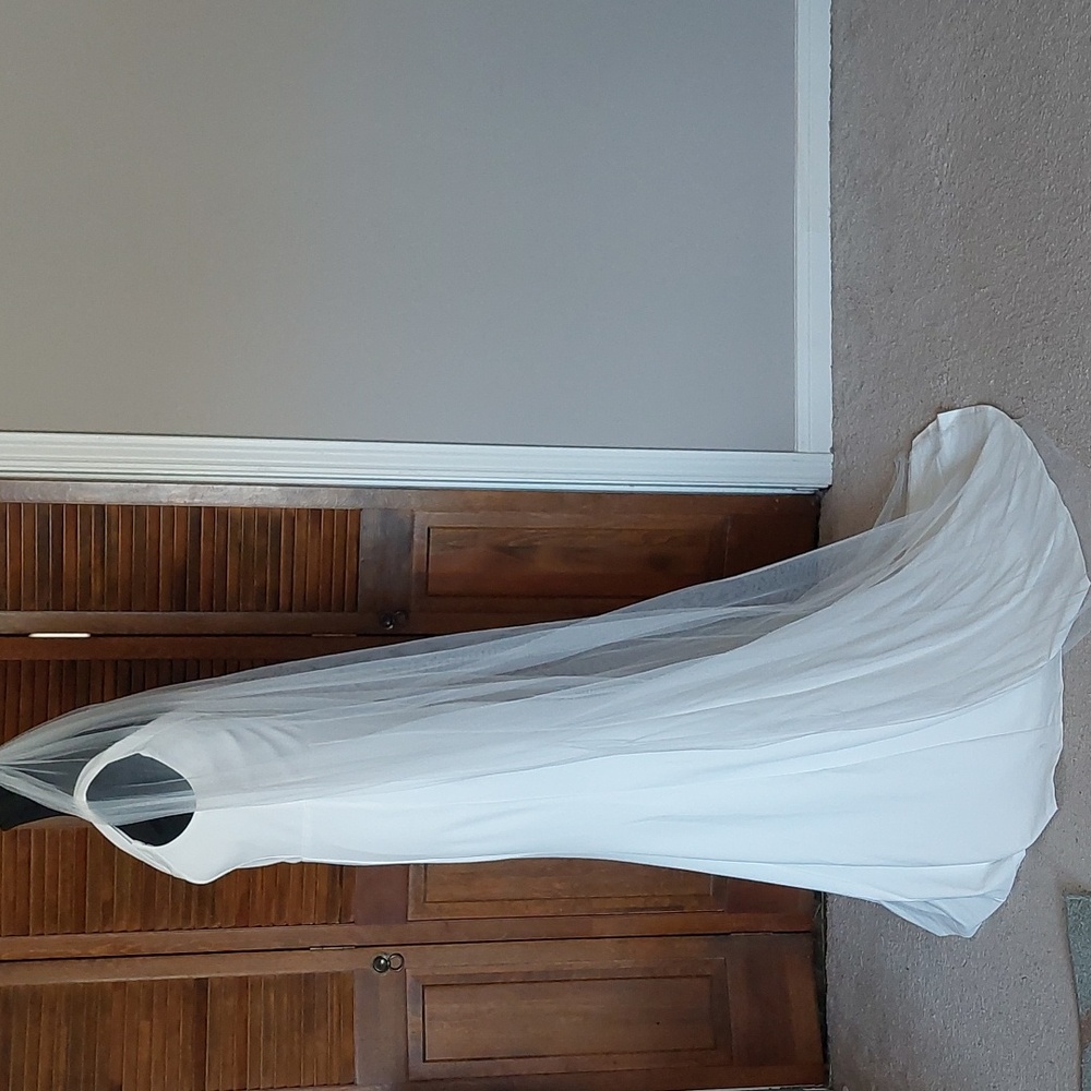 Ivory Single Layer Floor Length Veil W/ Comb